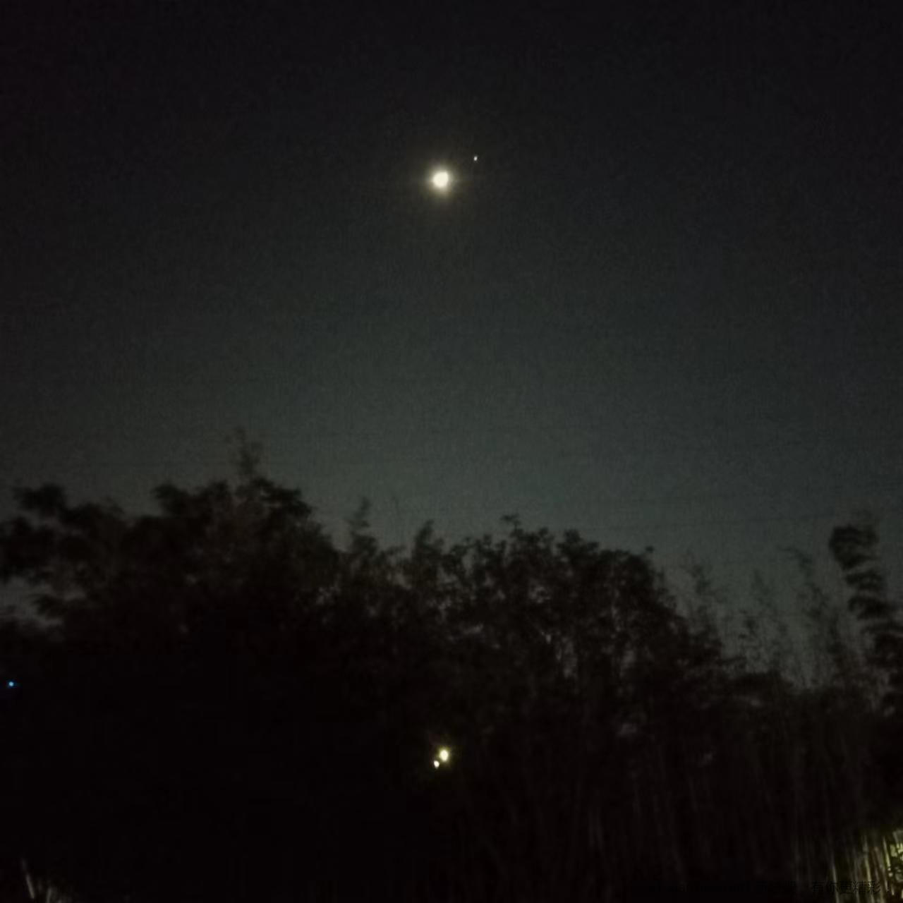 111.jpg