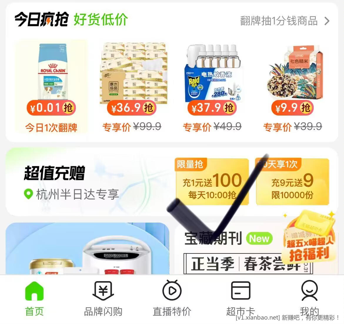 猫超大毛1冲一百-惠小助(52huixz.com)