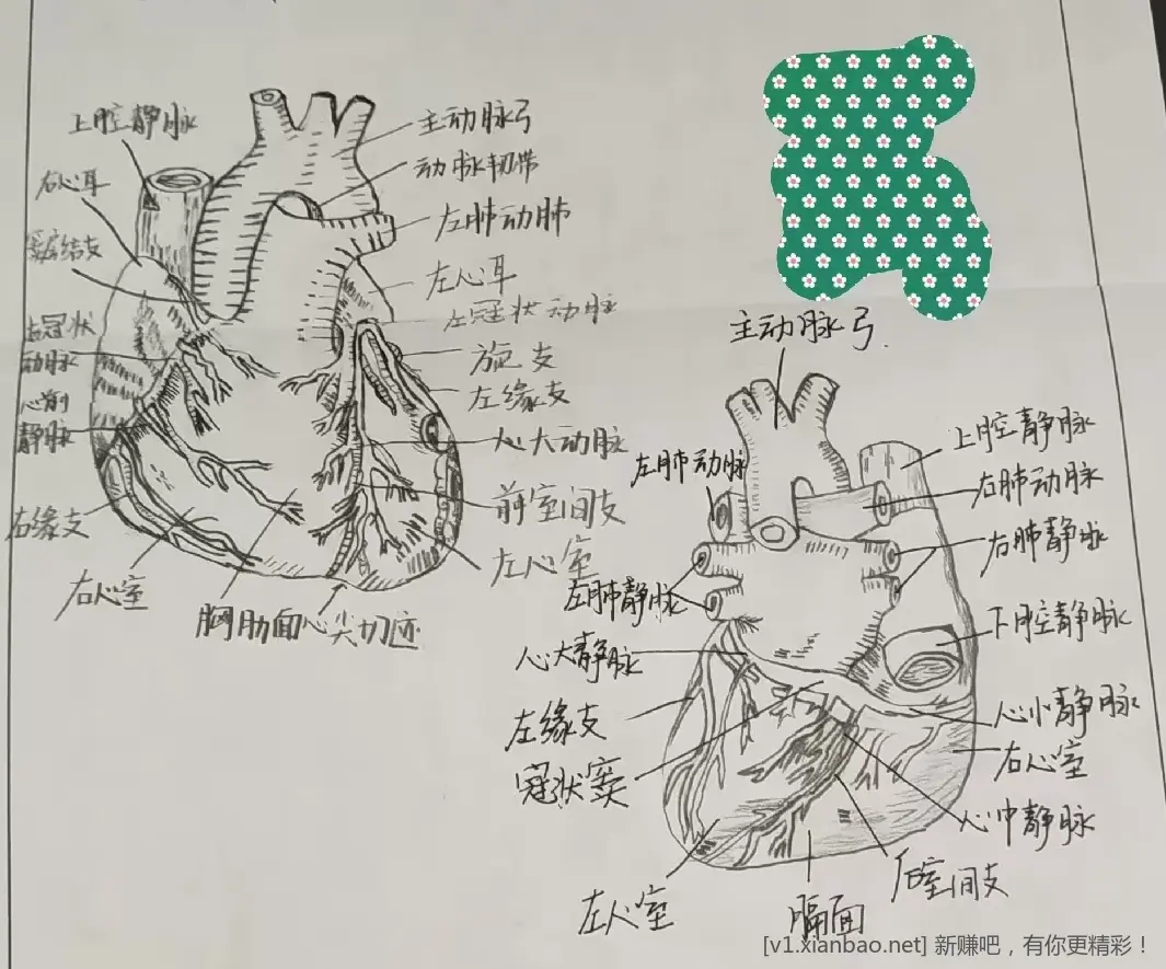 连农行会员返现券都抢不到了 - 线报酷