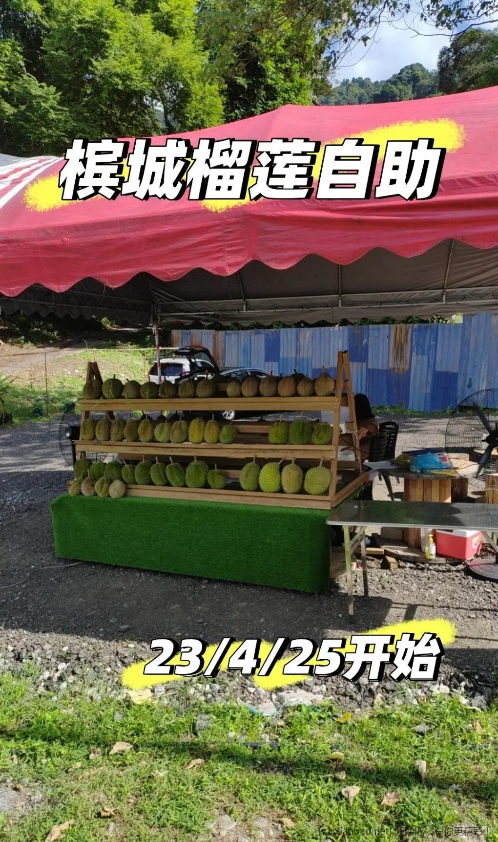 关于榴莲，给你们看看我今年买的最便宜的价格 - 线报酷