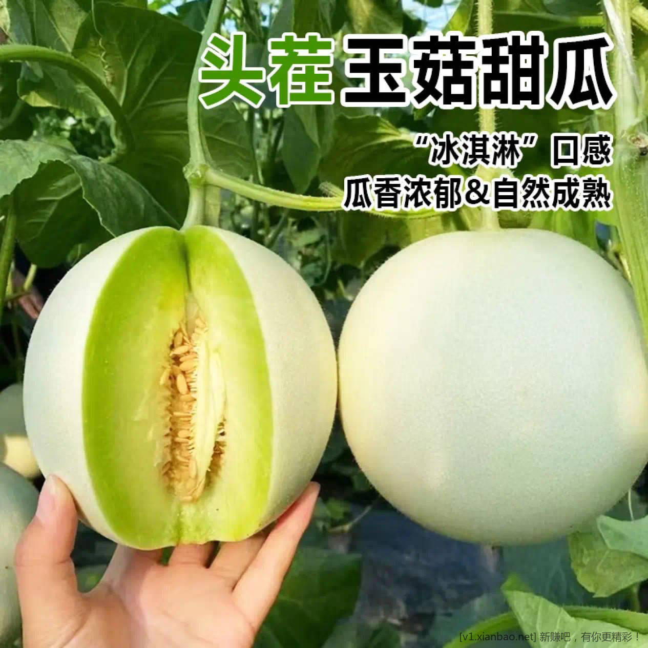 快 山东玉菇冰淇淋甜瓜 4.5-5 斤 16.9 元 - 线报酷