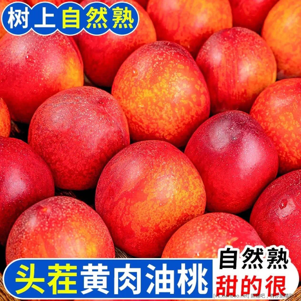 黄心油桃 5 斤 19.9 元 - 线报酷
