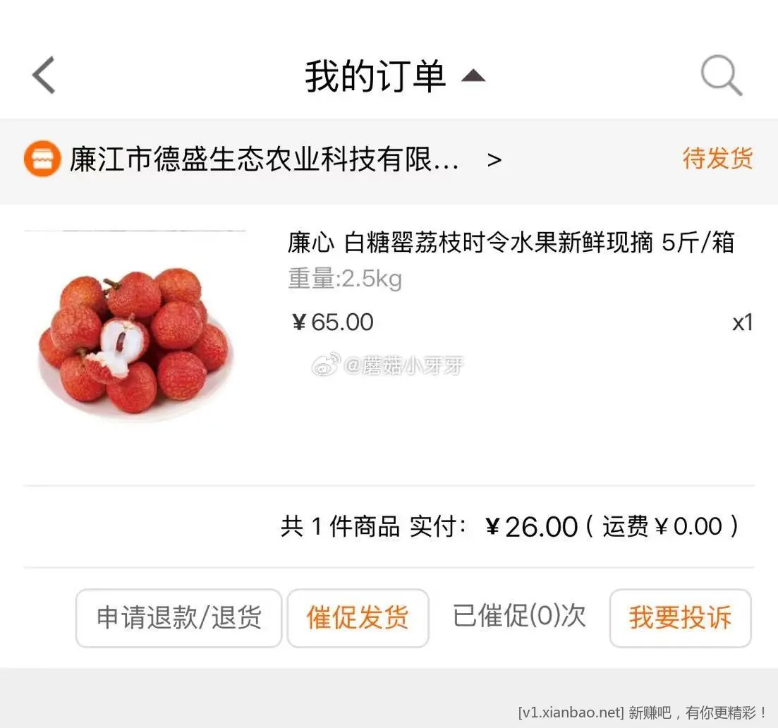 5.2一斤荔枝 - 线报酷