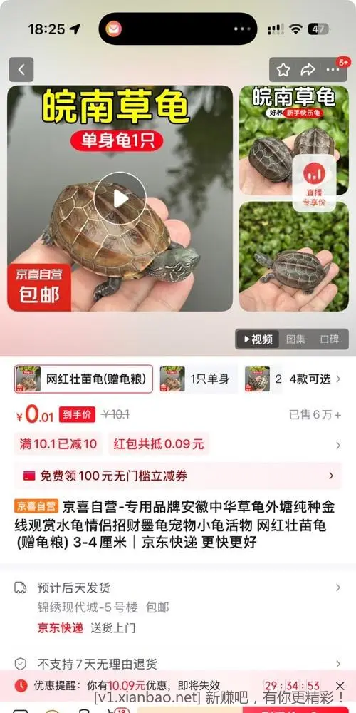 吧龟来了！速度 - 线报酷