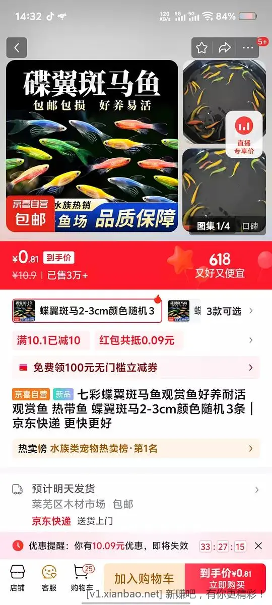 1分钱买小鱼 - 线报酷