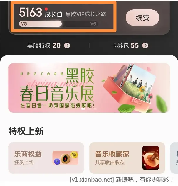 网易云黑胶〖V4及以上〗可以免费走机场高铁VIP通道 - 线报酷