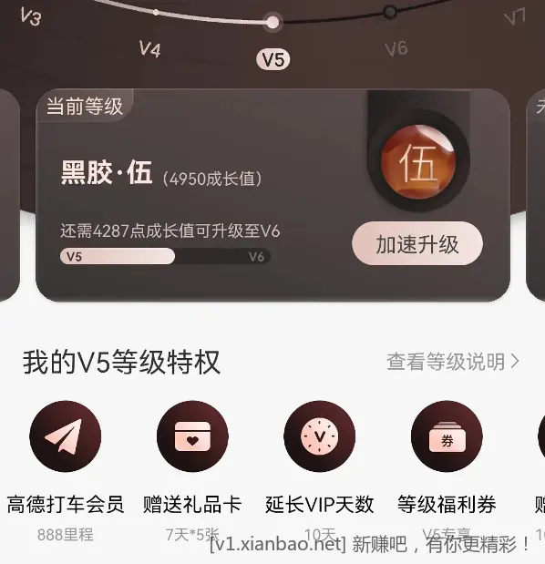 网易云黑胶〖V4及以上〗可以免费走机场高铁VIP通道 - 线报酷