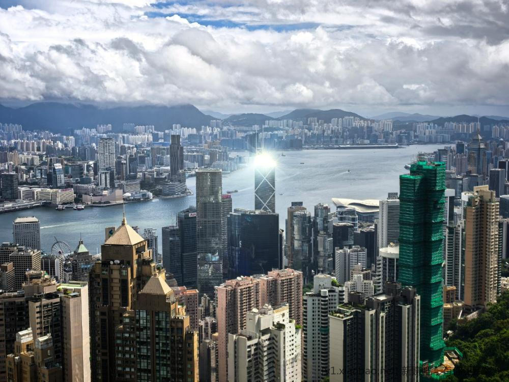 周末休息不存在的，牛马哪里有星期天 - 线报酷