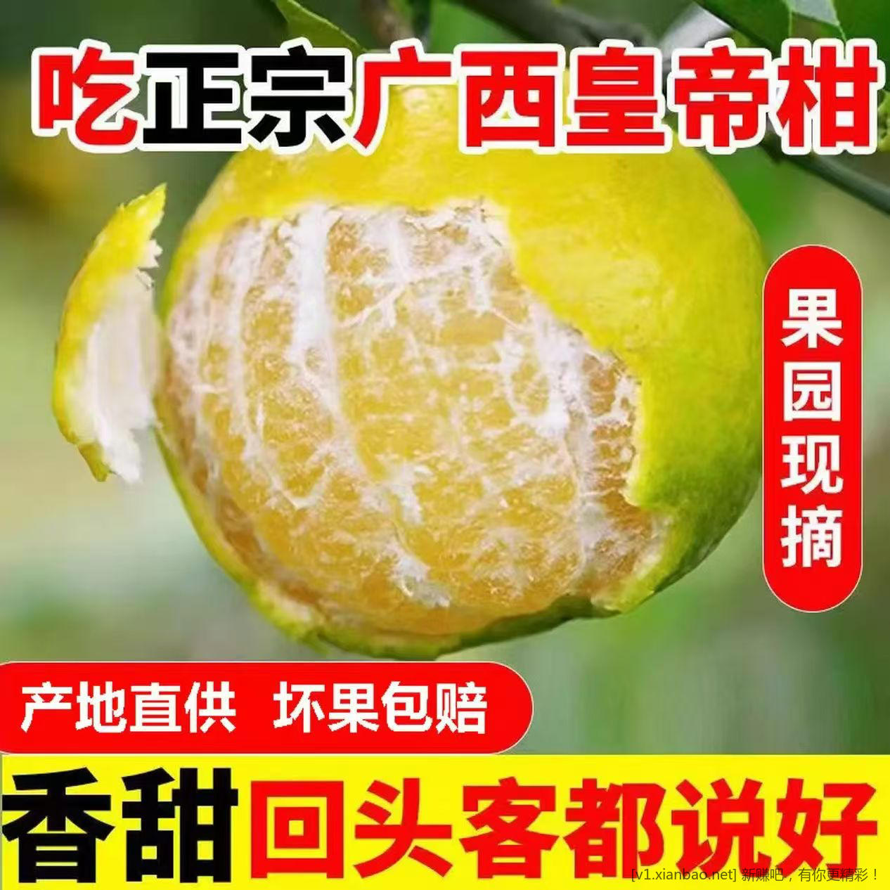 11.9元擼30枚广西皇帝柑 - 线报酷