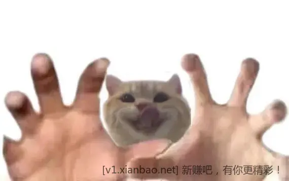 招行0撸实物，认准0撸，其他无视，路径二楼 - 线报酷