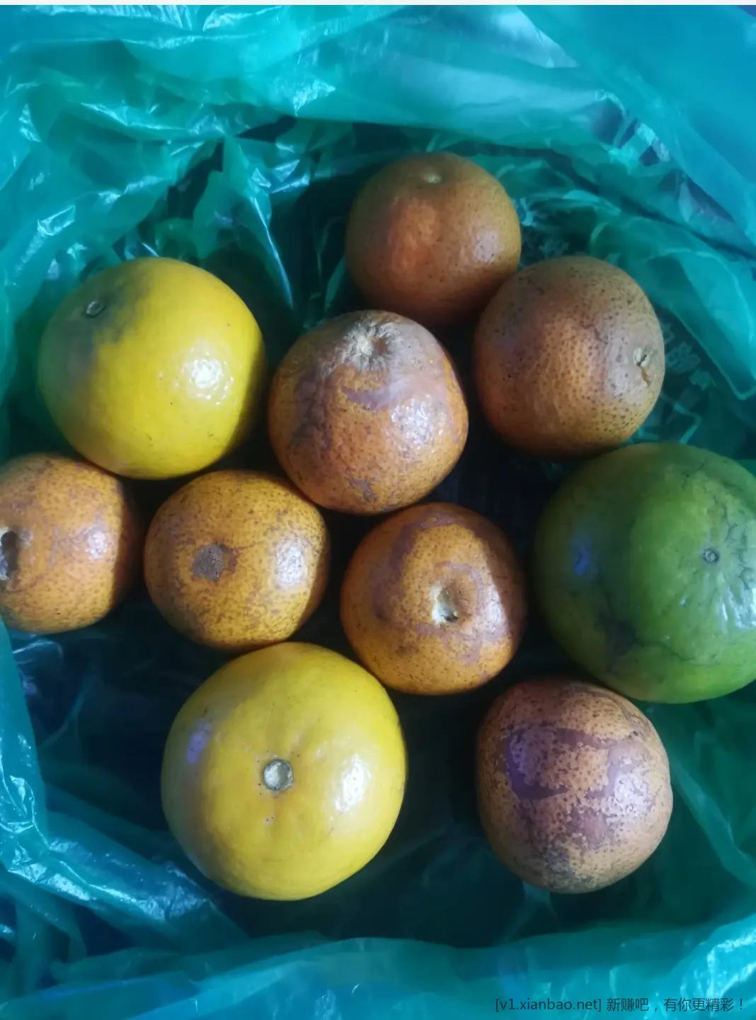 艹泥马，现在学校就是以研学的名义来坑钱 - 线报酷