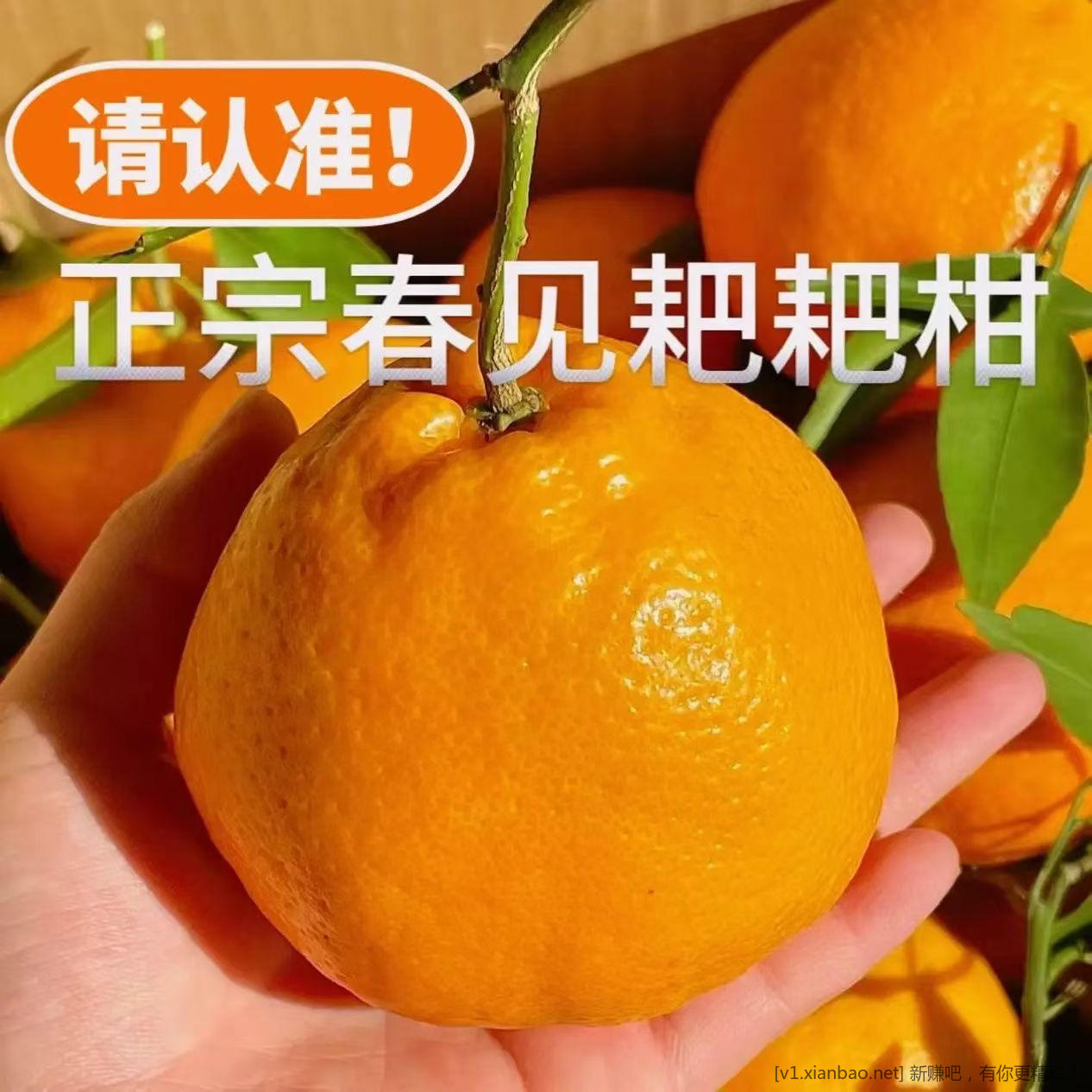 鲜宝道春见耙耙柑好价 5 斤到手 22.9 元 - 线报酷