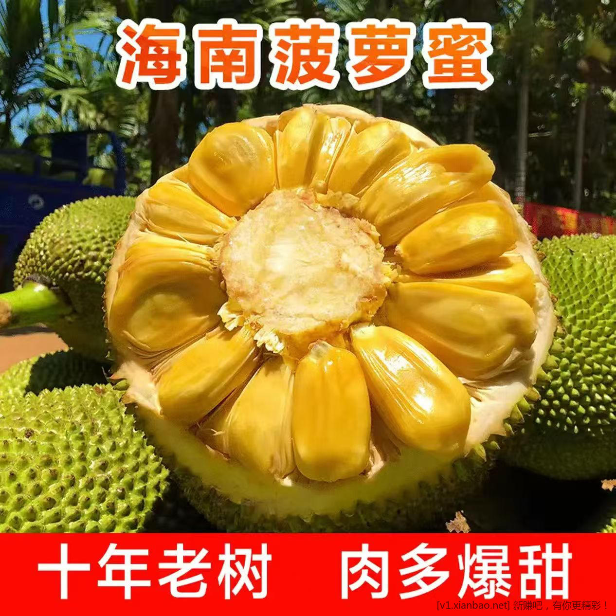 海南菠萝蜜神价了 15-20斤补贴价 49.9 元 - 线报酷