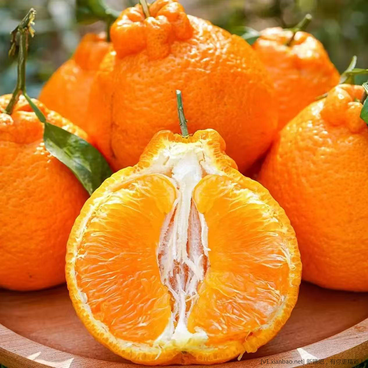 鲜宝道 四川不知火丑橘5 斤中果 19.9 元