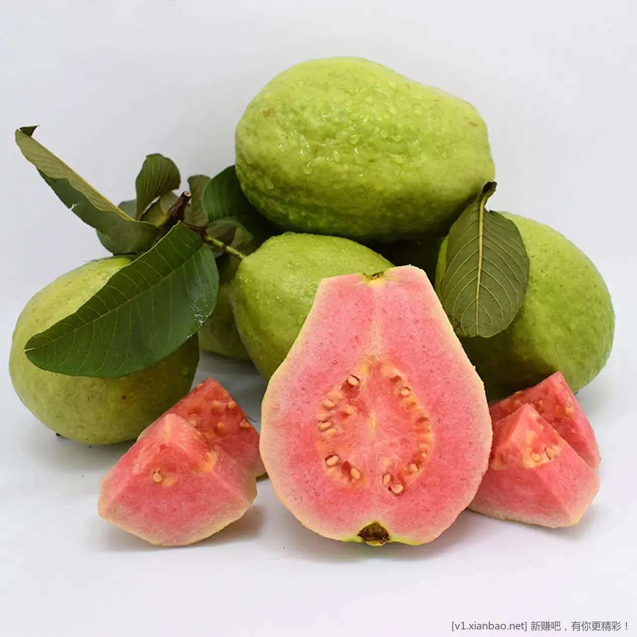 鲜宝道广西红心芭乐好价 2 斤到手 10.9 元 历史最低价了