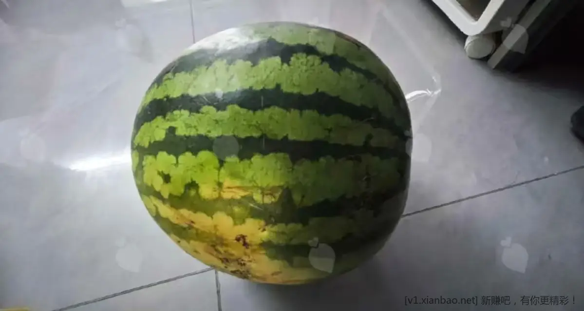 夏天来了，分享一个花小钱买高品质西瓜的方法！ - 86线报