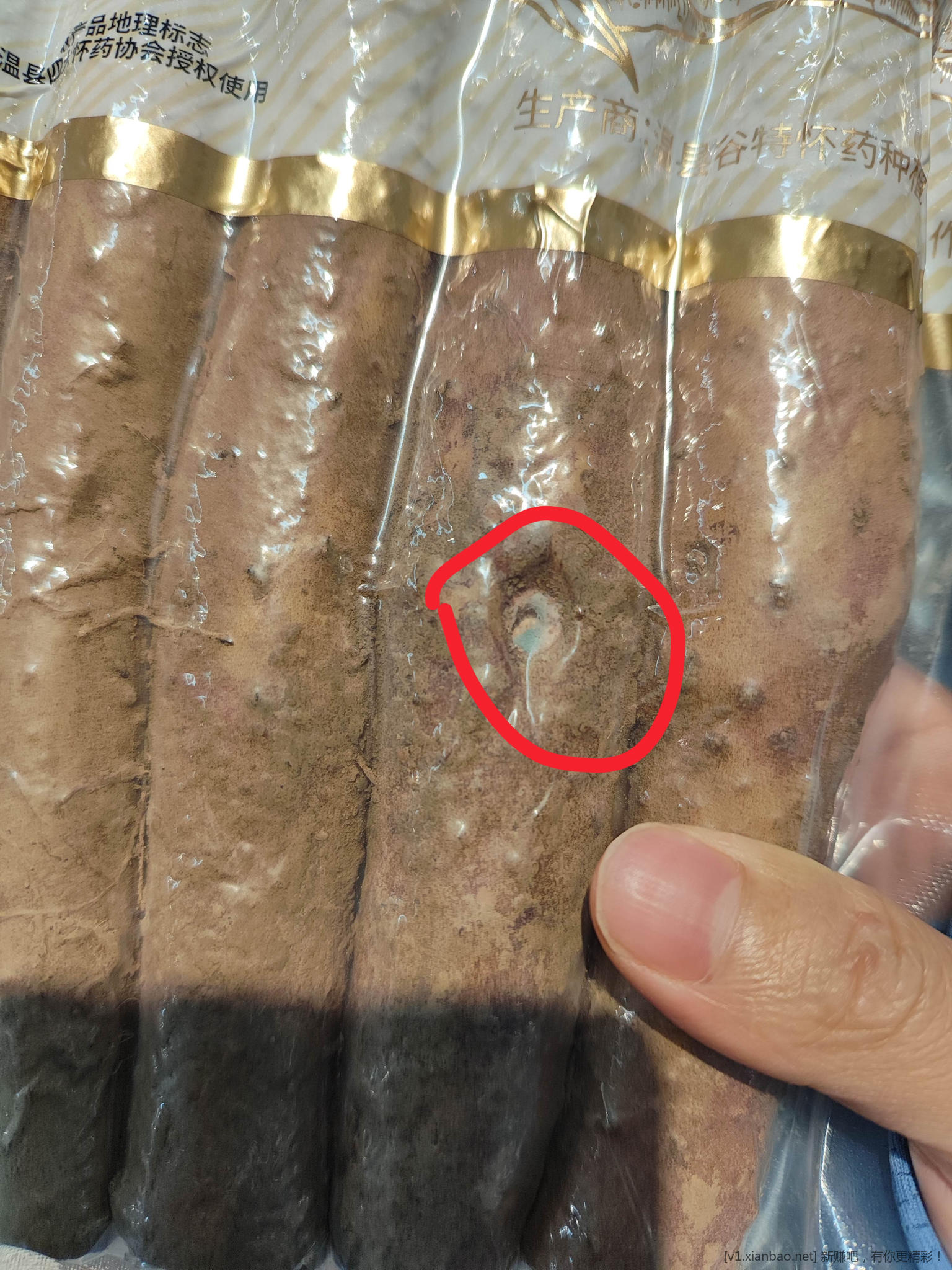 发霉的山药能吃吗 - 86线报 发霉的山药能吃吗 - 86线报
